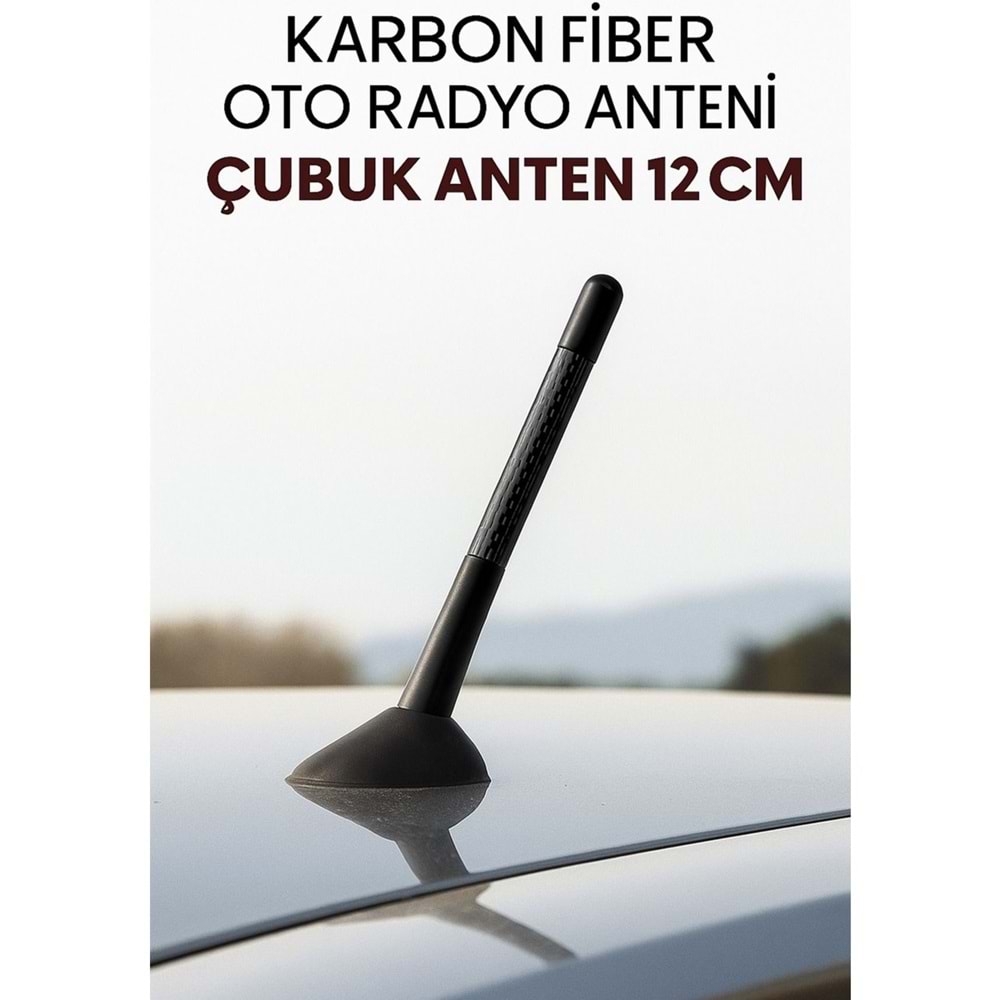 ANTEN CUBUGU SIYAH KARBON 12CM ( 002003 )
