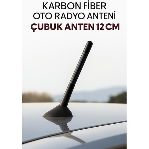 ANTEN CUBUGU SIYAH KARBON 12CM ( 002003 )